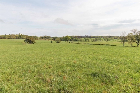 Missouri Ozarks Farm Ground for Sale in Mountain View Missouri - image 40