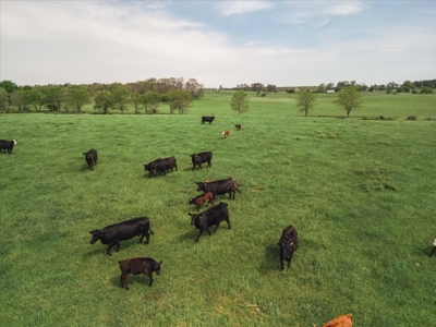 Missouri Ozarks Farm Ground for Sale in Mountain View Missouri - image 26
