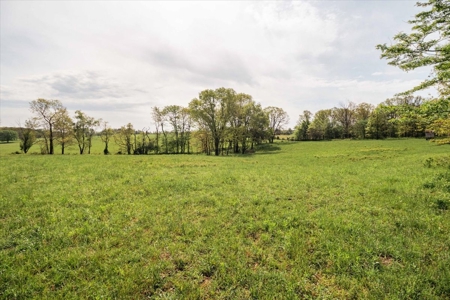Missouri Ozarks Farm Ground for Sale in Mountain View Missouri - image 42