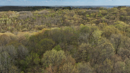 Mississippi River Hilltop Cabin for Sale in Crawford County, WI - image 31
