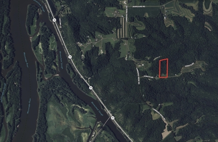 Mississippi River Hilltop Cabin for Sale in Crawford County, WI - image 49