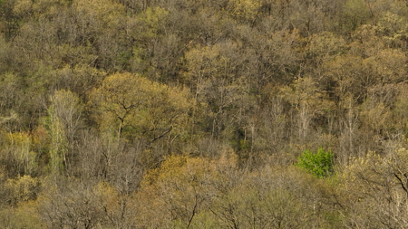 Mississippi River Hilltop Cabin for Sale in Crawford County, WI - image 39