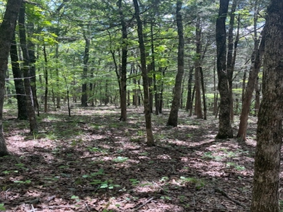 Ozark Mountain Property With View Of Bull Shoals Lake - image 18