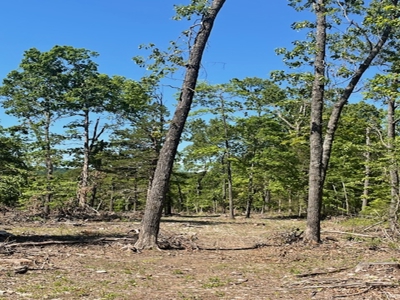 Ozark Mountain Property With View Of Bull Shoals Lake - image 9