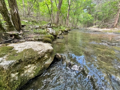 Ozark Mountain Property With View Of Bull Shoals Lake - image 16