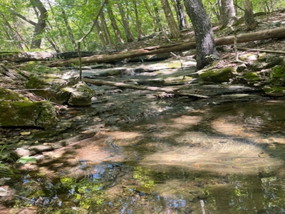 Ozark Mountain Property With View Of Bull Shoals Lake - image 12
