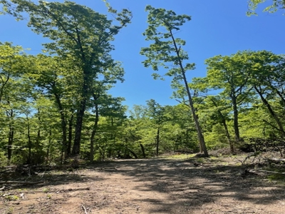 Ozark Mountain Property With View Of Bull Shoals Lake - image 7