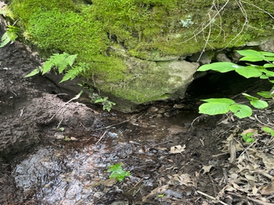 Ozark Mountain Property With View Of Bull Shoals Lake - image 6