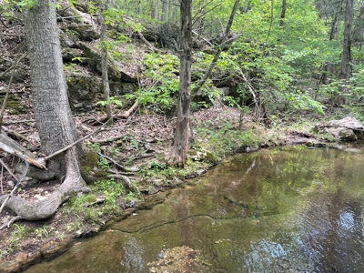 Ozark Mountain Property With View Of Bull Shoals Lake - image 17