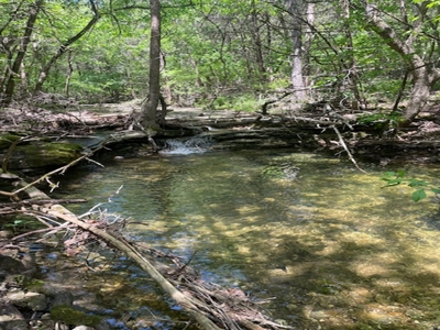 Ozark Mountain Property With View Of Bull Shoals Lake - image 4
