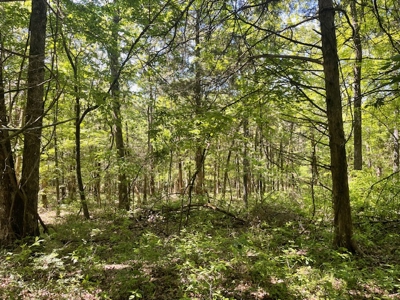 Ozark Mountain Property With View Of Bull Shoals Lake - image 11