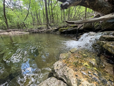 Ozark Mountain Property With View Of Bull Shoals Lake - image 3