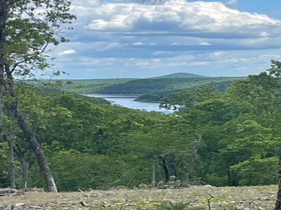 Ozark Mountain Property With View Of Bull Shoals Lake - image 20