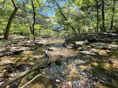 Ozark Mountain Property With View Of Bull Shoals Lake - image 15