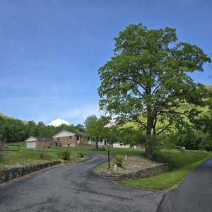 Brick Ranch Home for Sale in Pembroke VA - image 12