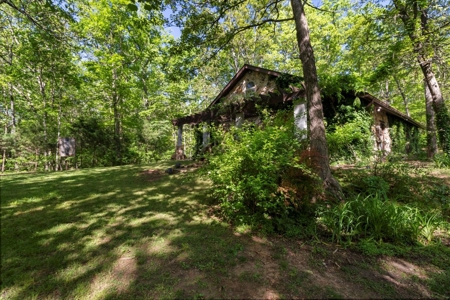 Secluded Ozarks Retreat with Spring-Fed Creek, ICF Construction - image 3
