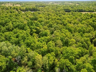 Secluded Ozarks Retreat with Spring-Fed Creek, ICF Construction - image 38