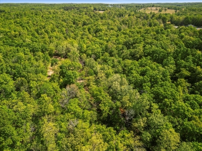 Secluded Ozarks Retreat with Spring-Fed Creek, ICF Construction - image 39