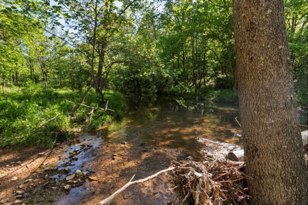 Secluded Ozarks Retreat with Spring-Fed Creek, ICF Construction - image 36