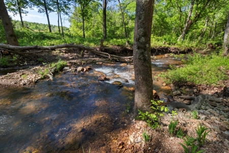 Secluded Ozarks Retreat with Spring-Fed Creek, ICF Construction - image 34