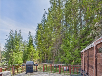 Mountain Home for Sale in Pierce, Idaho - image 15