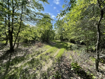 120 Acre Sportsman Paradise Choctaw County OK - image 5