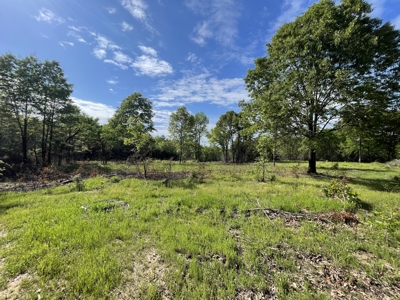 120 Acre Sportsman Paradise Choctaw County OK - image 1