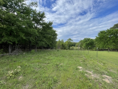 120 Acre Sportsman Paradise Choctaw County OK - image 10