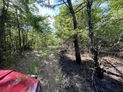 120 Acre Sportsman Paradise Choctaw County OK - image 4