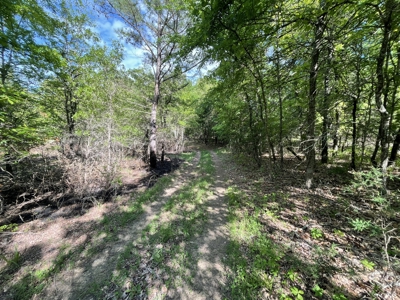 120 Acre Sportsman Paradise Choctaw County OK - image 6