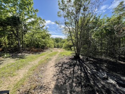 120 Acre Sportsman Paradise Choctaw County OK - image 7