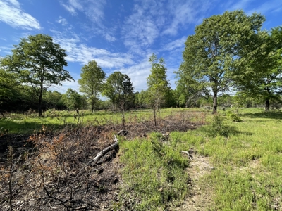 120 Acre Sportsman Paradise Choctaw County OK - image 3