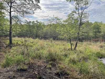 120 Acre Sportsman Paradise Choctaw County OK - image 13