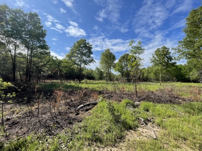 120 Acre Sportsman Paradise Choctaw County OK - image 2