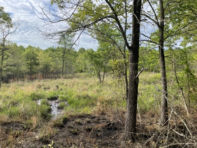 120 Acre Sportsman Paradise Choctaw County OK - image 12
