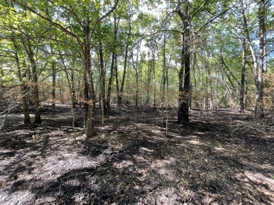 120 Acre Sportsman Paradise Choctaw County OK - image 8