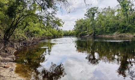 Lot For Sale in Hamilton County, Florida - image 8