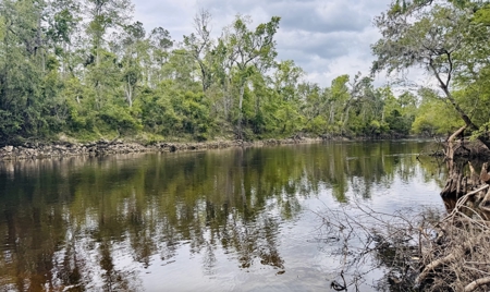 Lot For Sale in Hamilton County, Florida - image 11