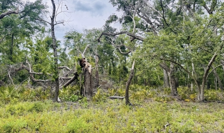 Lot For Sale in Hamilton County, Florida - image 2