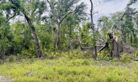 Lot For Sale in Hamilton County, Florida - image 3