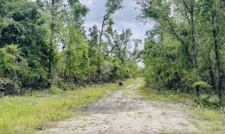 Lot For Sale in Hamilton County, Florida - image 6