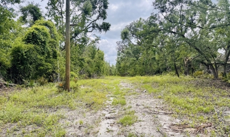 Lot For Sale in Hamilton County, Florida - image 5