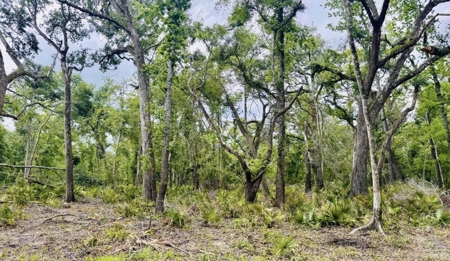 Lot For Sale in Hamilton County, Florida - image 13