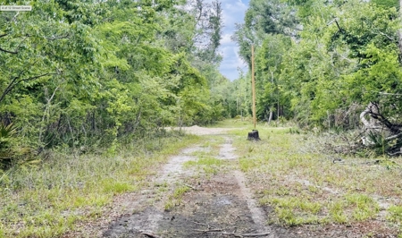 Lot For Sale in Hamilton County, Florida - image 4
