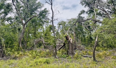 Lot For Sale in Hamilton County, Florida - image 1