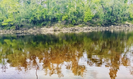 Lot For Sale in Hamilton County, Florida - image 10