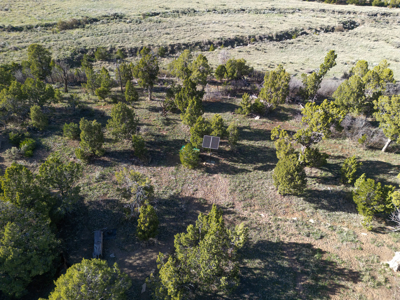 Build Your Dream Mountain Home Bordering Mesa Verde National Park - image 13