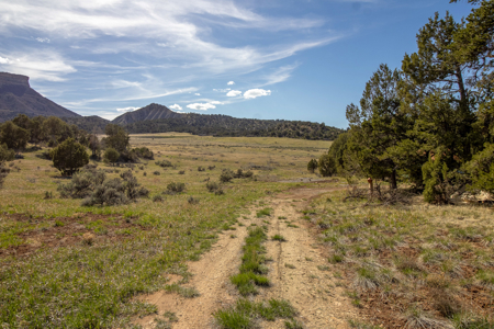 Build Your Dream Mountain Home Bordering Mesa Verde National Park - image 25