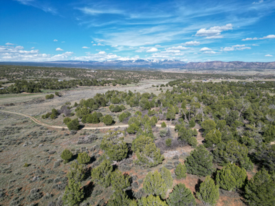 Build Your Dream Mountain Home Bordering Mesa Verde National Park - image 1
