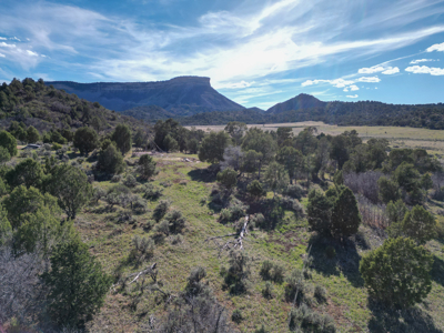 Build Your Dream Mountain Home Bordering Mesa Verde National Park - image 3